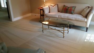 Carpet Stain Remover