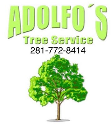 adolfo'streeservice